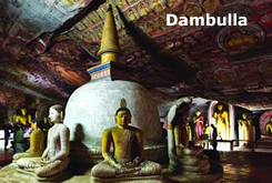 Dambulla